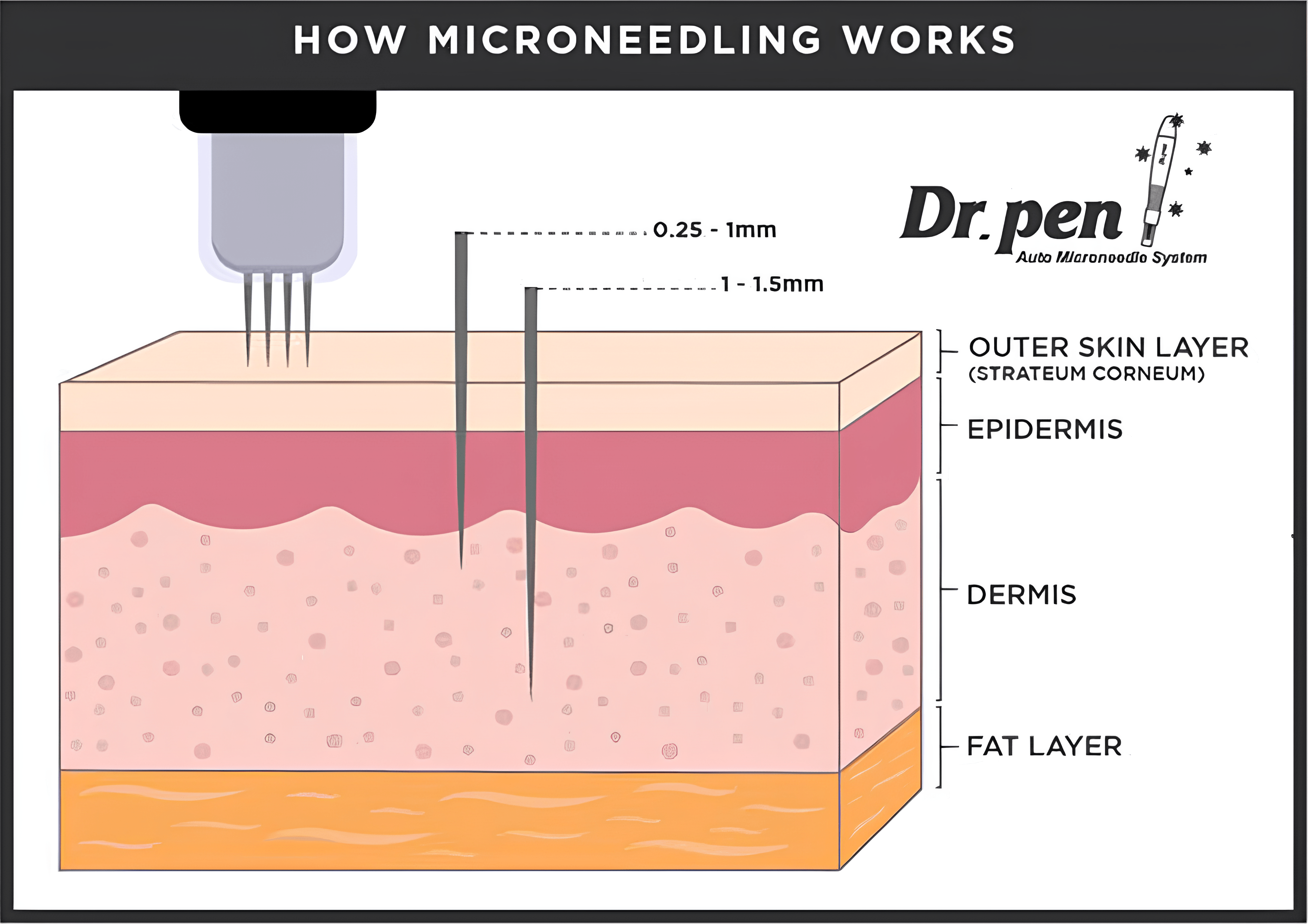 ezgif-7-f619457f49 1 (1)